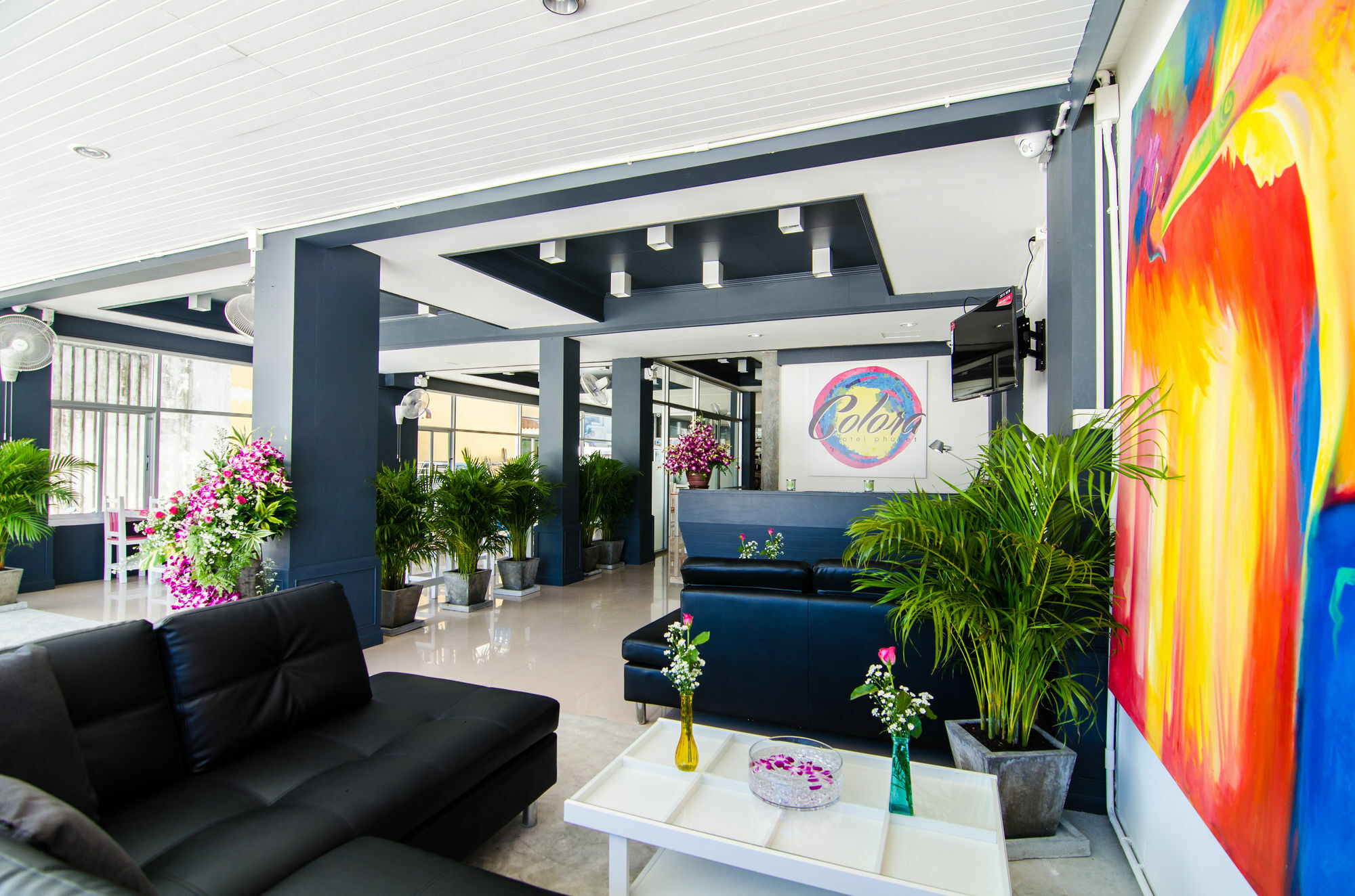 Colora Hotel Patong Phuket Εξωτερικό φωτογραφία